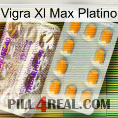 Vigra Xl Max Platinum new12